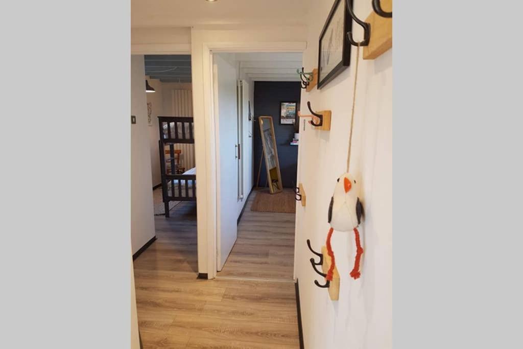 Milking Shed Cottage Narberth Eksteriør billede
